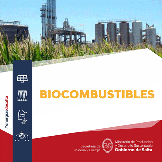 Biocombustibles