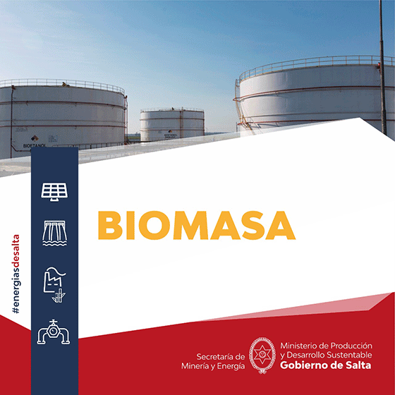 Biomasa