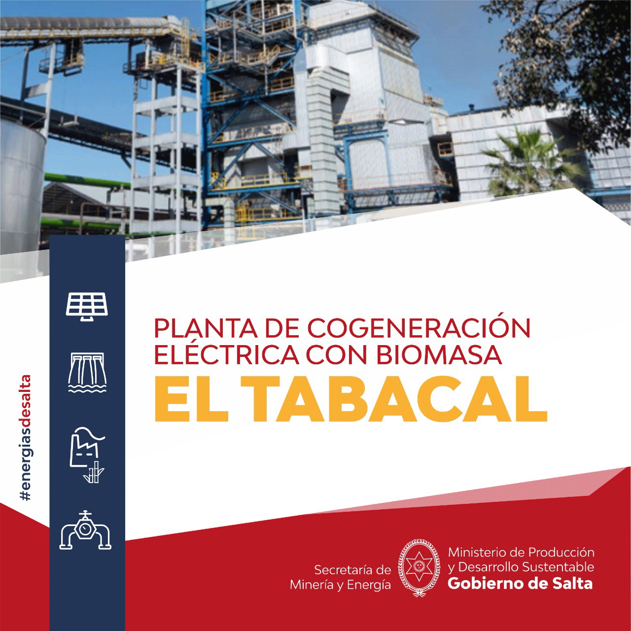 Planta Generación Electrica Biomasa de Tabacal