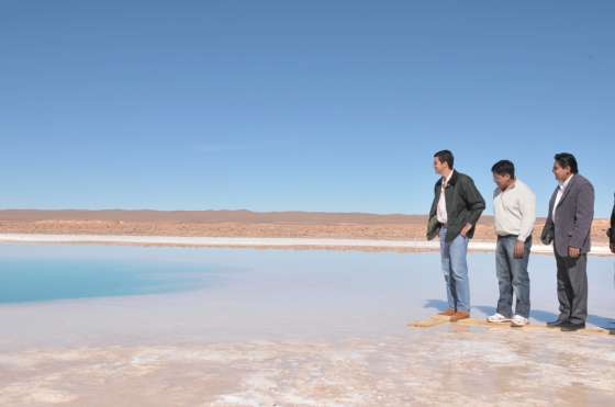 El Gobierno de la Provincia creó áreas protegidas en las lagunas de Socompa y Tolar Grande