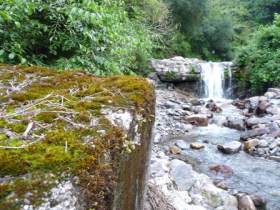 Se inicia el Plan de Manejo del Área Protegida de Finca Las Costas