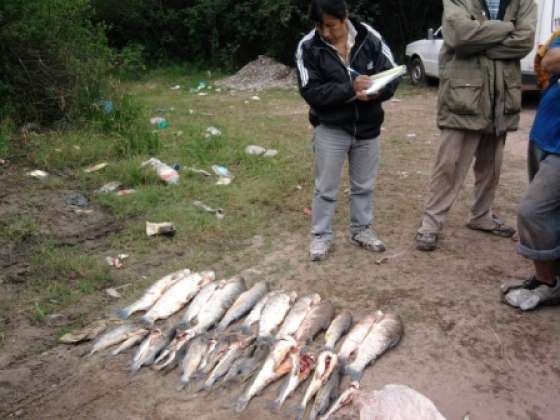 Ambiente realizó controles de pesca en el río Juramento