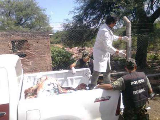 En abril se decomisó 1.400 kilos de carne faenada en forma irregular