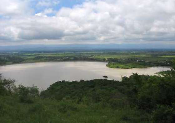 Ambiente estudia las causas de la mortandad de peces en dique Las Lomitas