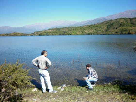 Analizan la causa de mortandad de peces en dique Las Lomitas
