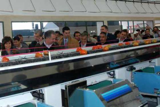 Productores de hortalizas salteños ya cuentan con una planta de empaque