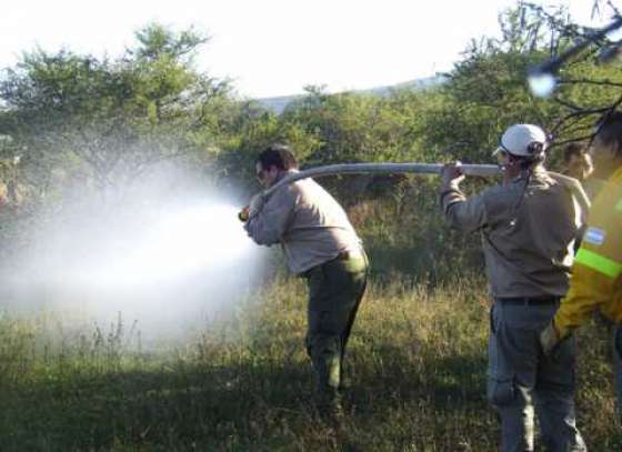 Curso básico de combatiente de incendios forestales