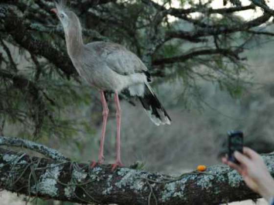 Avanza el desarrollo del producto turístico de Avistaje de Aves