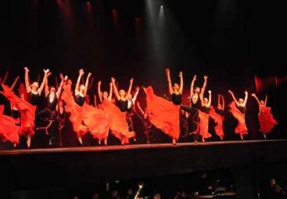 El Ballet de la Provincia se presentará en el micro estadio Delmi