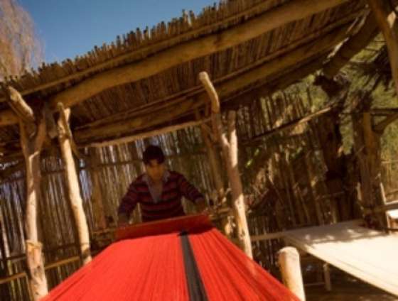 Este viernes se celebrará el Día Mundial del Tejido