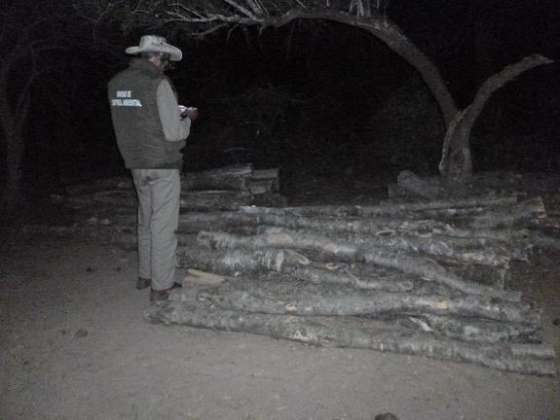 Ambiente secuestró 780 postes de palosanto en La Unión