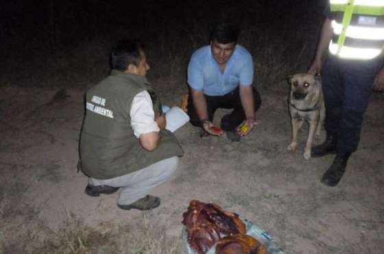La Unidad de Control Ambiental secuestró carne faenada de suri
