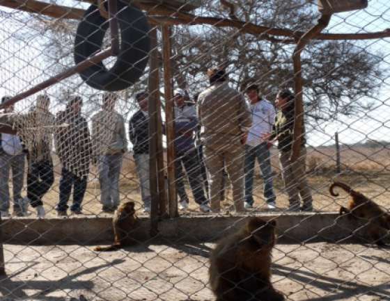 Alumnos de la escuela de Luracatao visitaron la Estación de Fauna