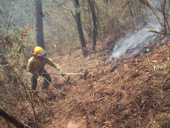 Recomendaciones de Defensa Civil acerca de incendios