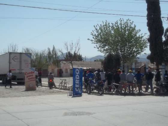 Más de mil personas accedieron a “Cerdo para todos”
