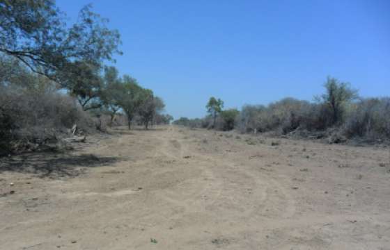 Ambiente localizó desmonte ilegal en Hickman