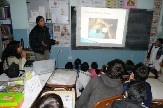 Charla sobre mascotismo