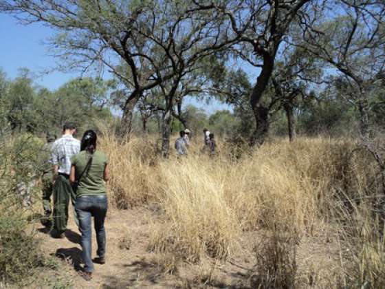 Ambiente compartió experiencias de manejo silvopastoril en otras provincias