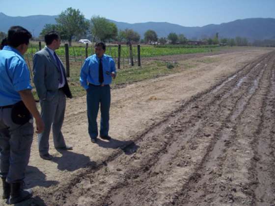 Nuevo cultivo y producción de la Granja Penal