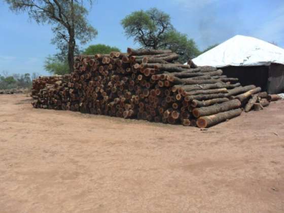 Detienen desmontes ilegales en el norte provincial