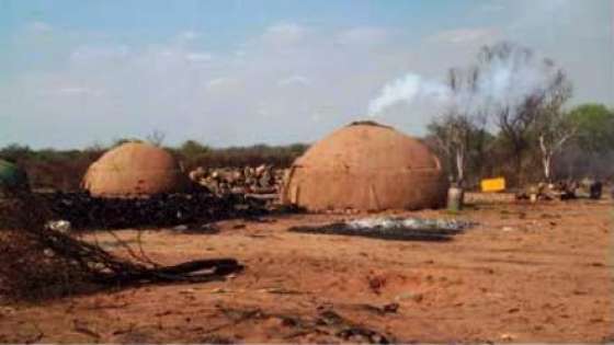 Capacitaron a pequeños productores en General Pizarro