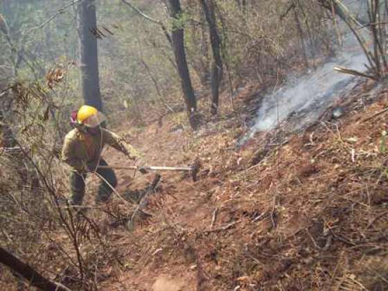 Brigadistas de Defensa Civil trabajan en los focos de incendio de Colonia Santa Rosa