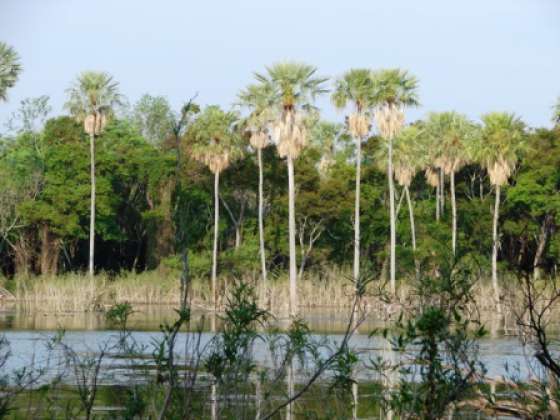 Finaliza la muestra “Un Recorrido por los Parques Nacionales del NOA”