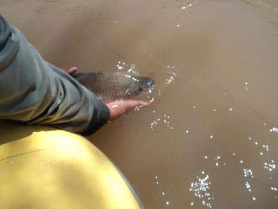 Ambiente realizó controles de pesca en el río Juramento