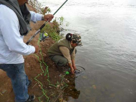 Decomisaron pescados en cercanías de El Tunal