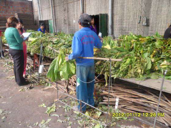 Detectaron trabajo infantil en Cerrillos