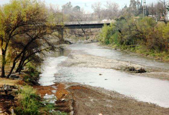 Toman muestras de agua por mortandad de peces en el Río Arenales