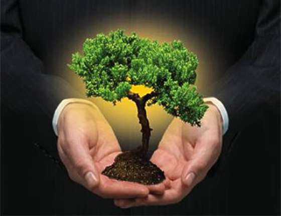 Propuesta para que municipios refuercen aspectos ambientales