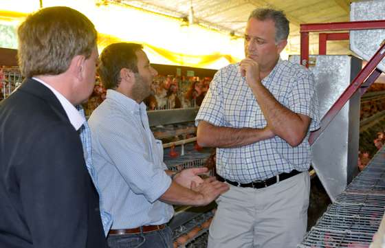 Analizan trasladar una granja avícola de Vaqueros