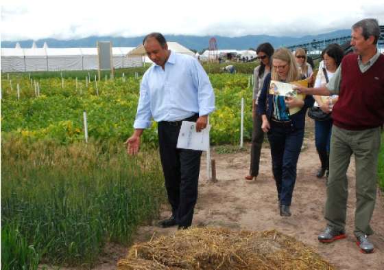 Más de 5 mil niños participarán de INTA Expone Región NOA