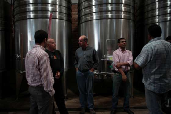 Insumos para mejorar la calidad de la producción del vino casero