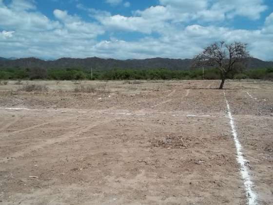 Se ejecutan obras para una nueva urbanización en La Viña