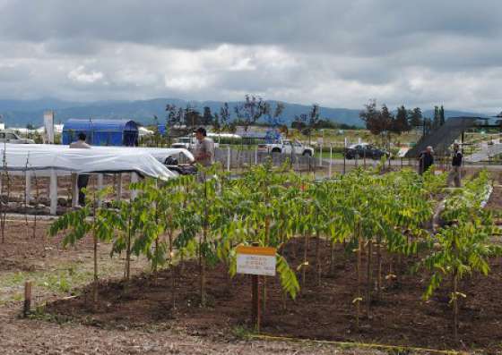 En las cárceles se realizarán actividades agropecuarias