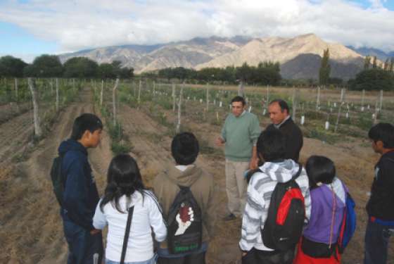 La agrotécnica de Cafayate comercializa su producción