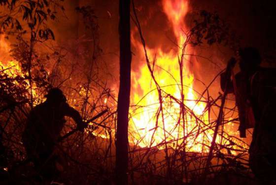 Hoy se celebra el día internacional del combatiente de incendios forestales