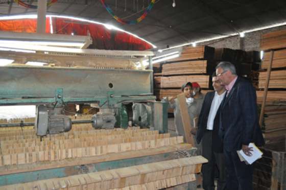 Avanza el proyecto del polo maderero en Orán