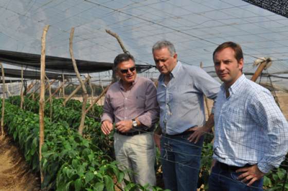 Funcionarios recorrieron instalaciones de la firma Salvita en Embarcación