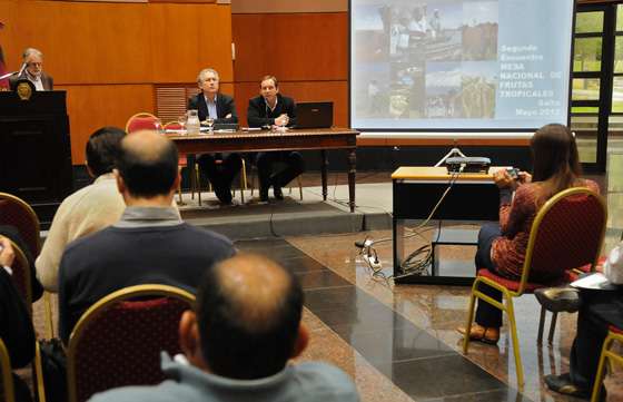 Debate en Salta la mesa nacional de frutos tropicales