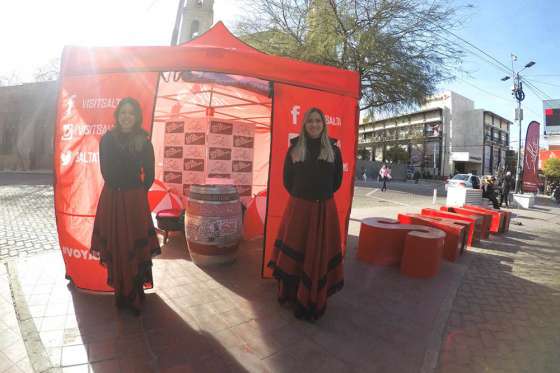 La empresa Aerolíneas operará 48 frecuencias semanales a Salta