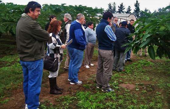Buscan mejorar la producción de frutos tropicales