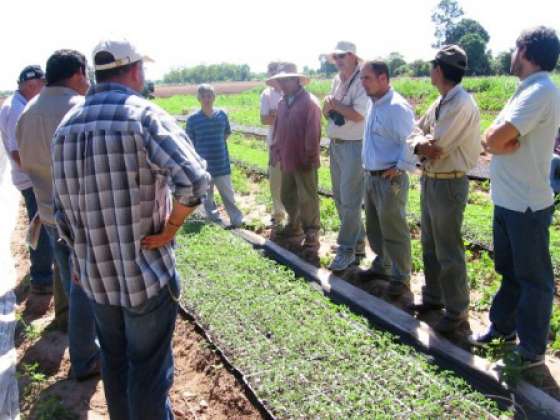 Productores se capacitaron sobre el control de enfermedades en hortalizas