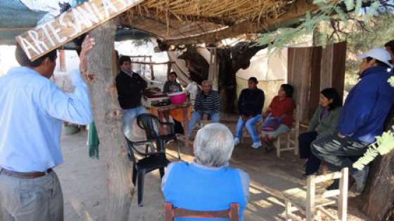 Salta avanza en la creación de un conglomerado foresto industrial