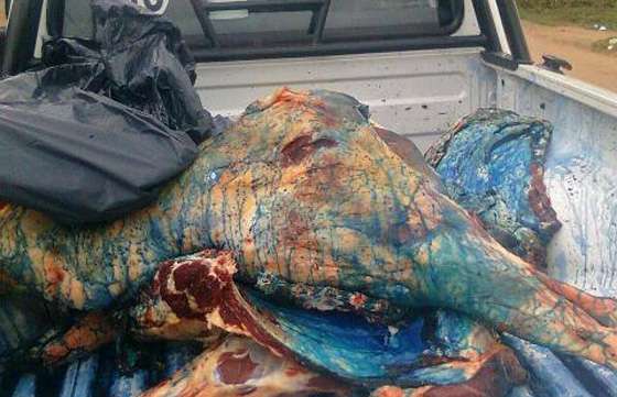 Operadores de la Carne realizaron tareas de fiscalización en el interior