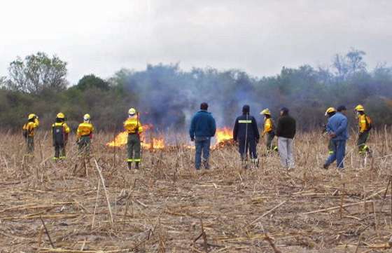 Brigadistas de Defensa Civil sofocaron un incendio en San Lorenzo