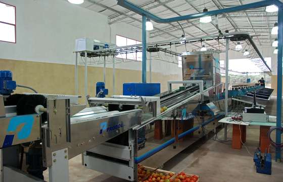 Se optimizará el funcionamiento de la planta de hortalizas de General Pizarro