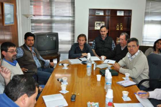 Finaliza este viernes la vacunación antiaftosa en Salta